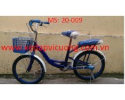 XE 20 009